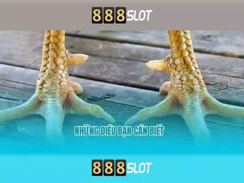 baccarat 888slot