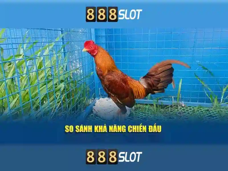 baccarat 888slot