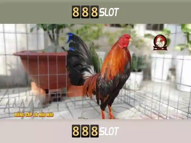 baccarat 888slot