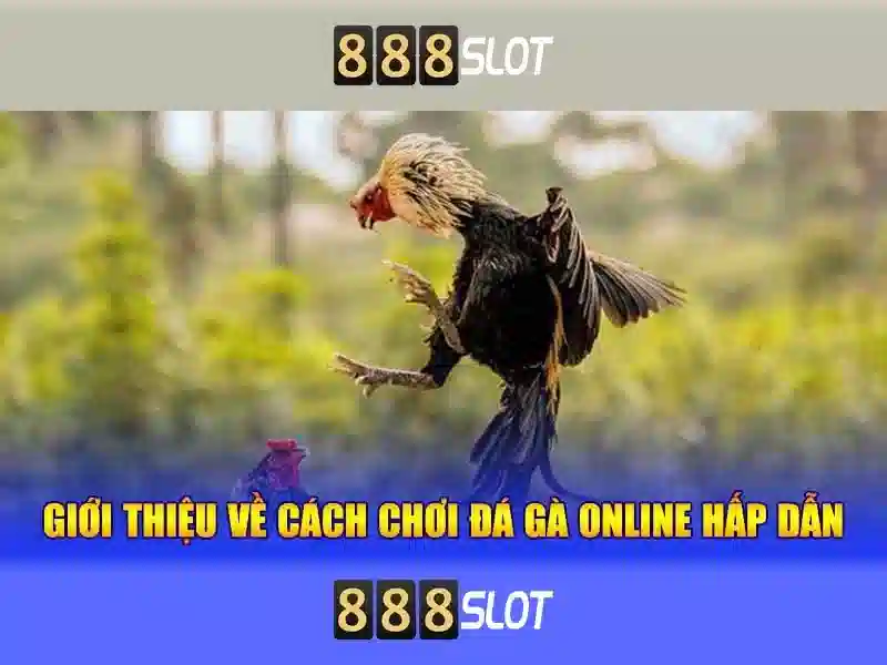 888slot là gì và tại sao nổi bật