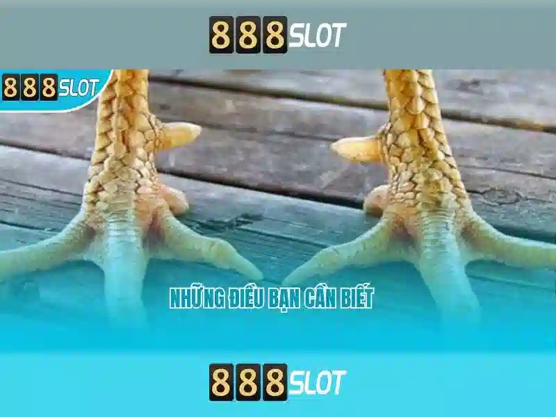 Ưu điểm nổi bật của 888slot