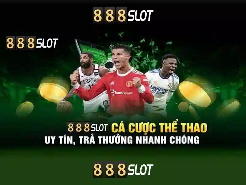 Hỗ trợ khách hàng và trải nghiệm người dùng