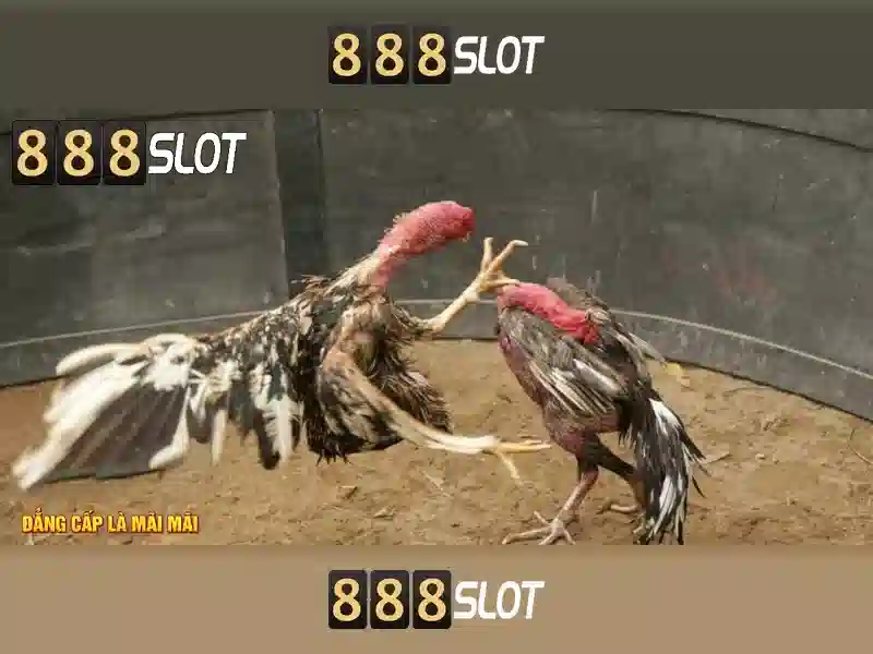 Chương trình khuyến mãi và an toàn