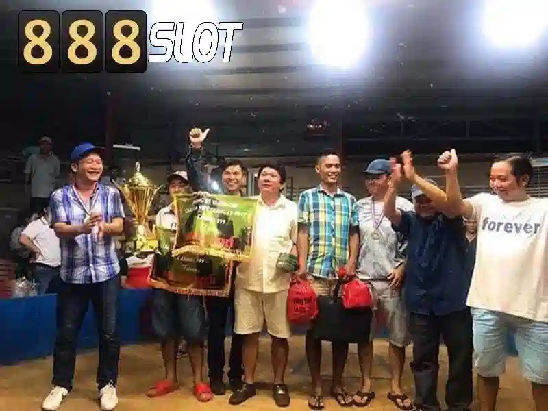 Cải tiến tối ưu cho người chơi