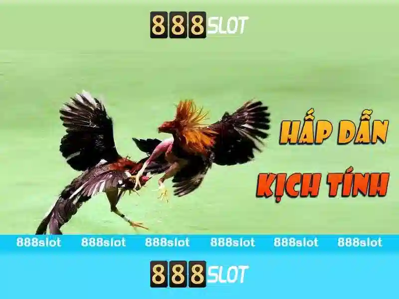 Giới thiệu về 888slot