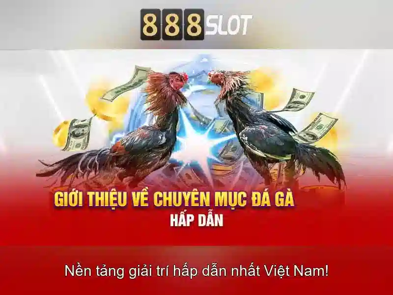 888slot - Nền tảng đánh bạc trực tuyến đáng tin cậy