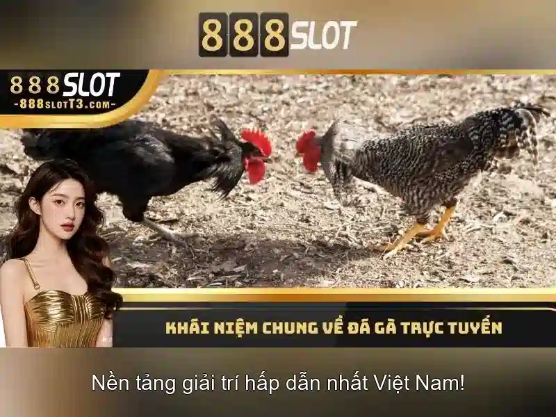 Giao diện và trải nghiệm người dùng