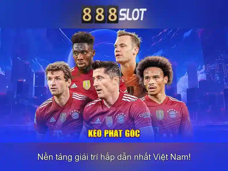 Hỗ trợ khách hàng và dịch vụ
