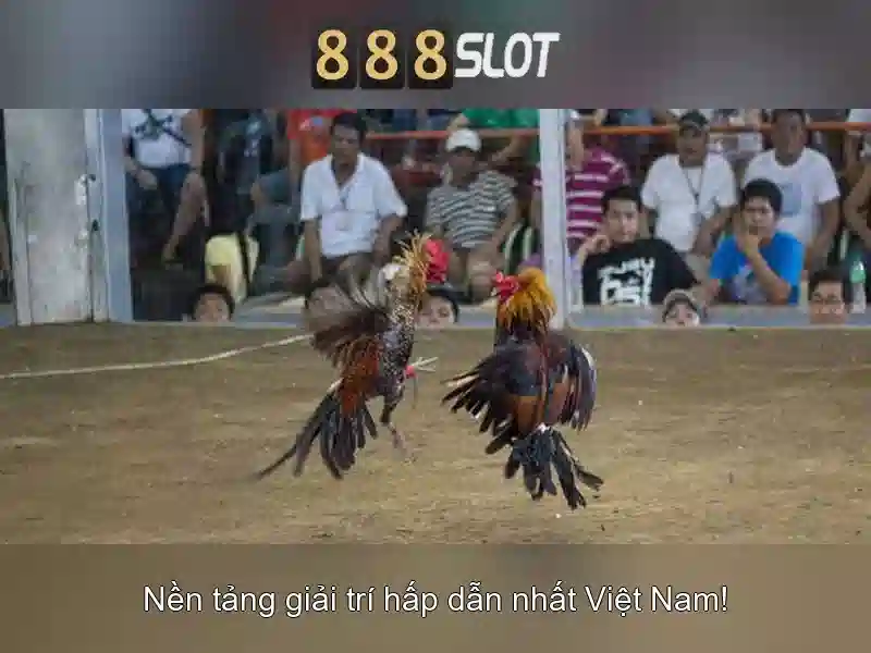 Trò chơi đa dạng và trải nghiệm người dùng