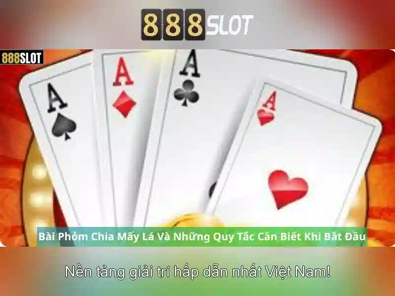 Nền tảng và trải nghiệm người dùng